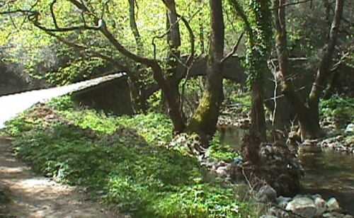 Agia Eirini Gorge in Selino